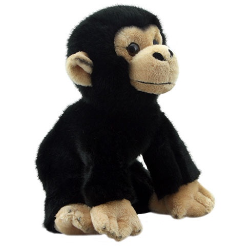 Liten Chimpanze