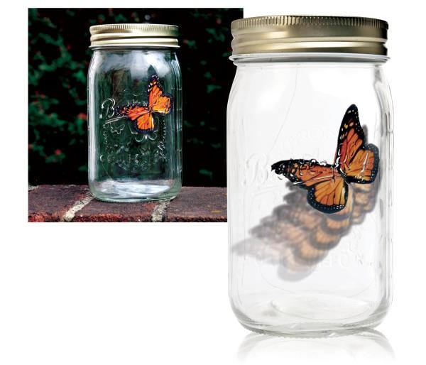 My Butterfly Jar