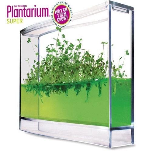 Plantarium