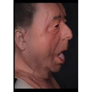 Guverner