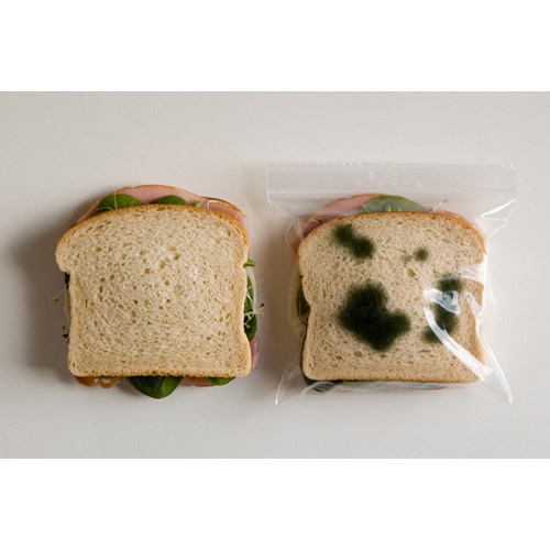 Nisteposer med Mugg - Bilde 4