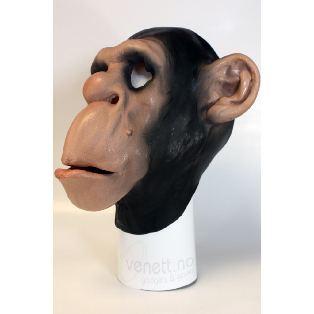 Chimpanzee